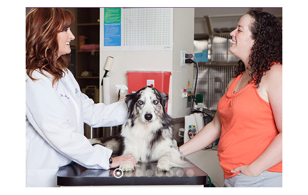 NOW OPEN: Northfield Veterinary Hospital – Central Park Denver (formerly  Stapleton)